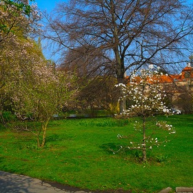 Весна в Праге